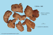 Gan Jiang Dried Ginger