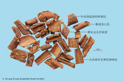 Wu Jia Pi Acanthopanax Root Bark