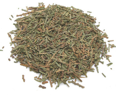 Ce Bai Ye Arborvitae Charcoal