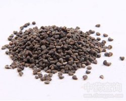 Dong Kui Zi Winter Malva Seed