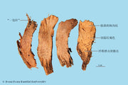 Qian Nian Jian
