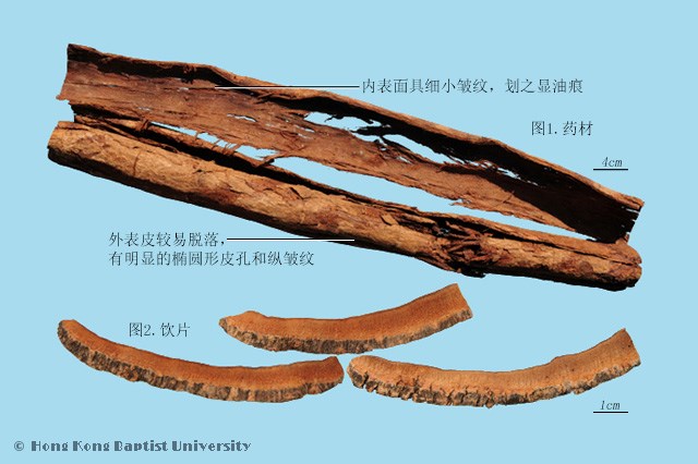 Hou Pu Magnolia Bark