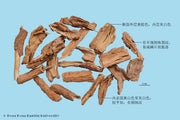 Di Gu Pi Lycium Bark