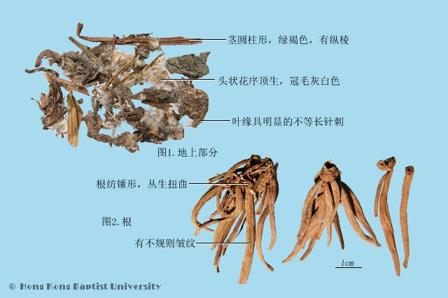 Da Ji Greater Burdock