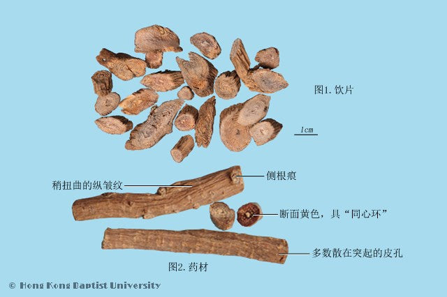 Chuan Niu Xi Cyathula Root