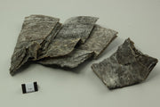 Kun Bu Kelp