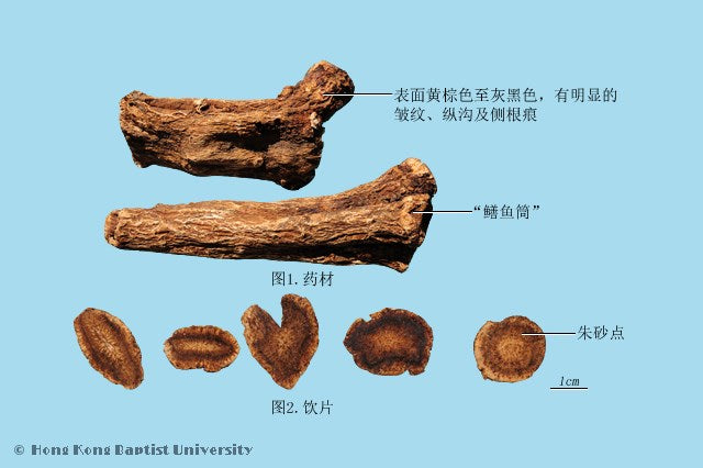 Mu Xiang Common Valdimiria Root