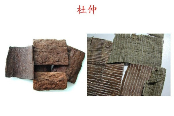 Du Zhong Eucommia Bark