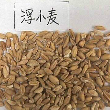 Fu Xiao Mai Wheat Bran