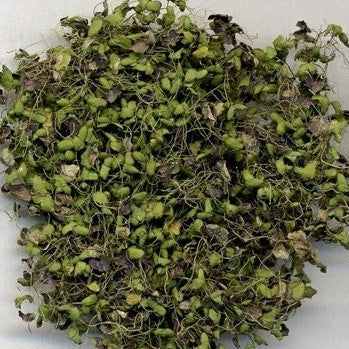 Fu Ping Duckweed