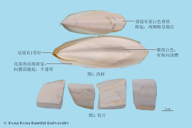 Hai Piao Xiao Cuttlefish Bone