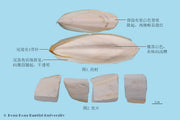 Hai Piao Xiao Cuttlefish Bone