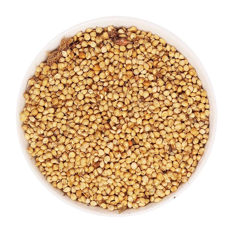 Chao Gu Ya Rice Sprouts