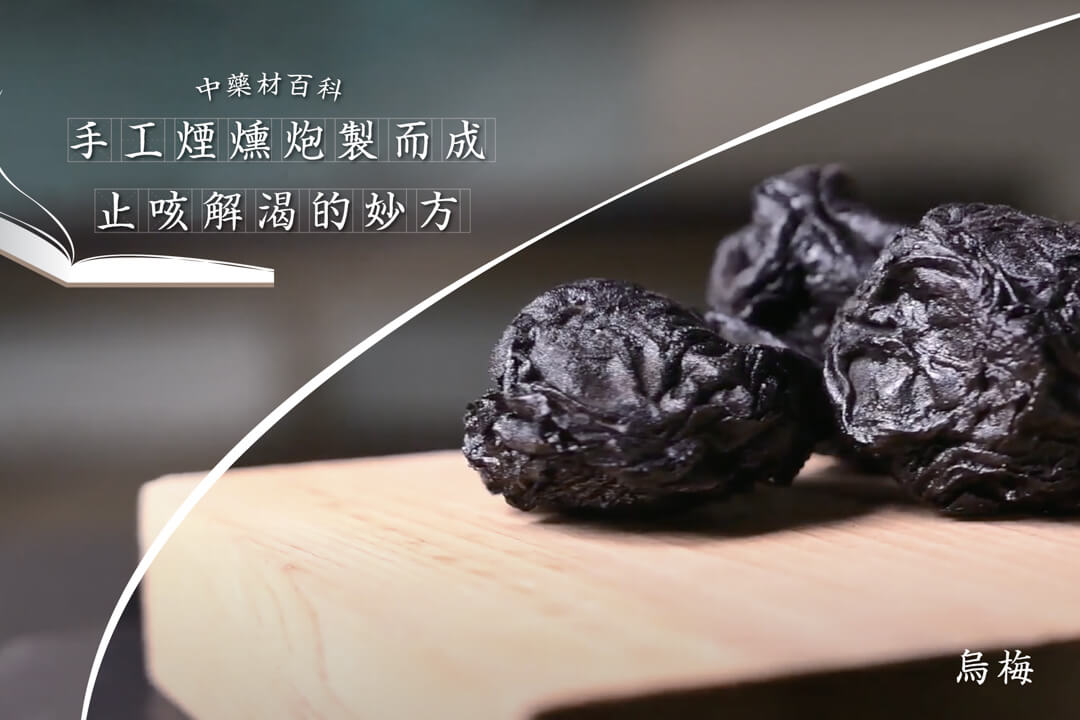 Wu Mei Mume Fruit