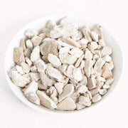 Duan Long Gu Fossil Bone