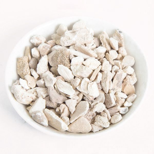 Duan Long Gu Fossil Bone