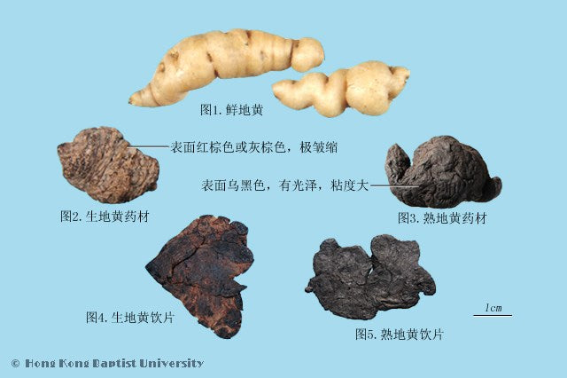 Shu Di Prepared Rehmannia Root