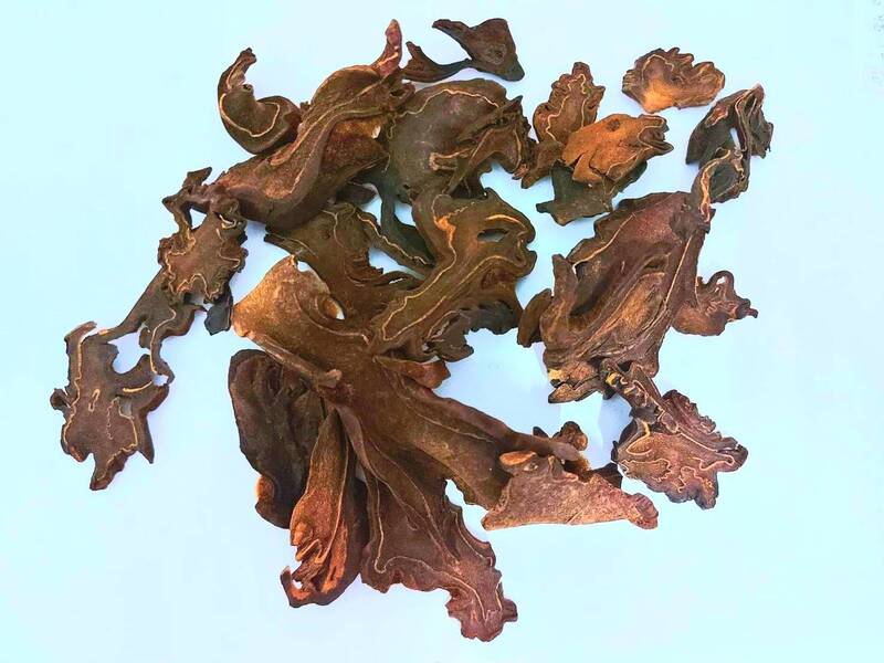 Gou Ji
