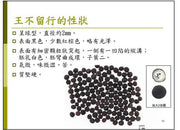 Wang Bu Liu Xing Zi  Vaccaria Seed