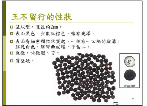 Wang Bu Liu Xing Zi  Vaccaria Seed