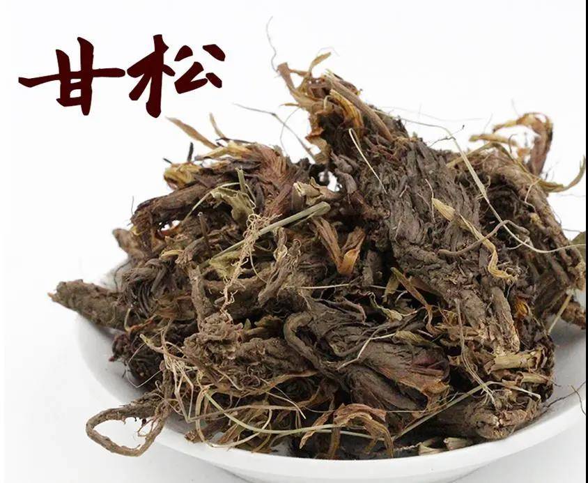 Gan Song Cao