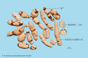 Gan Sui