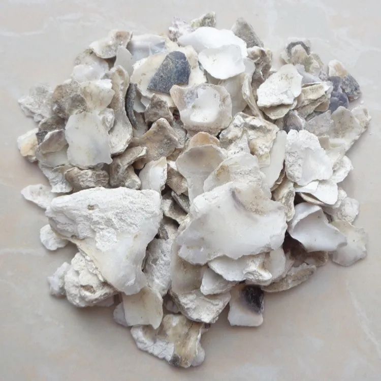 Sheng Mu Li Raw Oyster Shell