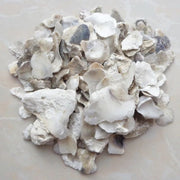 Sheng Mu Li Raw Oyster Shell
