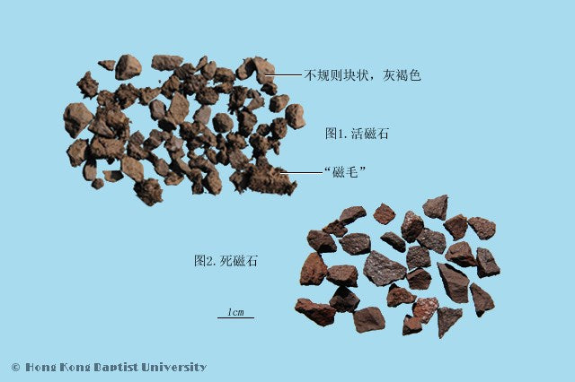 Sheng Ci Shi