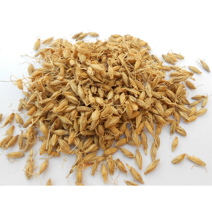 Sheng Gu Ya Raw Rice Sprout