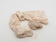 Sheng Long Gu Fossil Bone