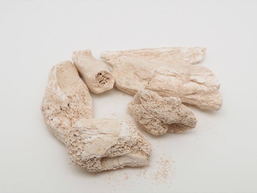 Sheng Long Gu Fossil Bone