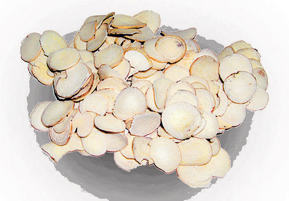 Bai Shao White Peony Root