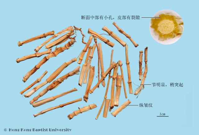 Bai Mao Gen Lalang Grass Rhizome