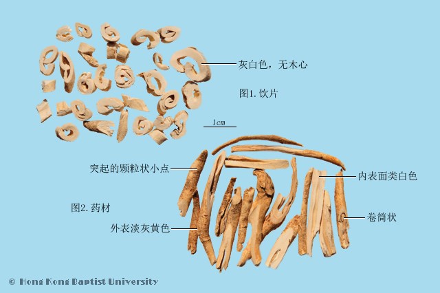 Bai Xian Pi Dictamnus Bark