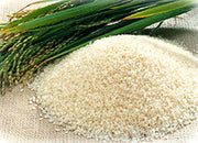 Jing Mi Nonglutinous Rice