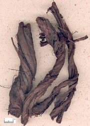 Hong Zi Cao