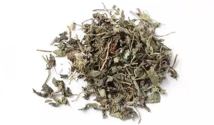 Zi Hua Di Ding Violet Herb
