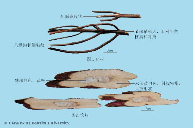 Zi Su Geng Perilla Stem