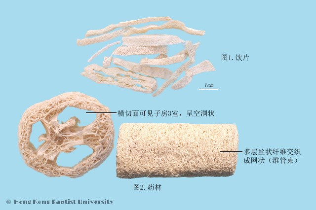 Si Gua Luo Loofah Fiber