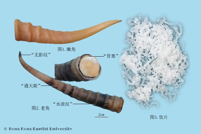 Ling Yang Jiao Si