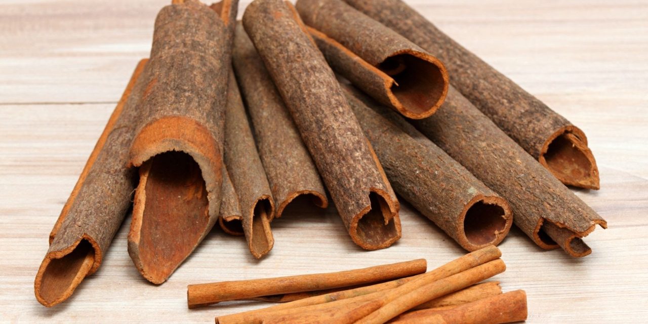 Rou Gui Cinnamon Bark