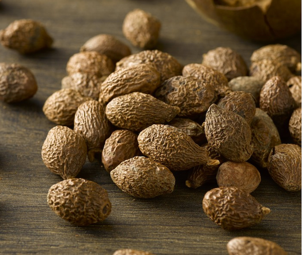 Pang Da Hai Boat-fruited Scaphium Seed