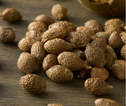 Pang Da Hai Boat-fruited Scaphium Seed
