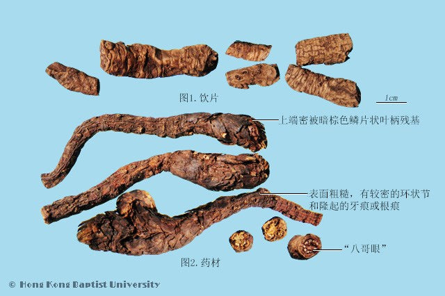 Hu Huang Lian Picrorhiza Rhizome