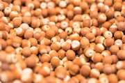 Qian Shi Euryale Seed