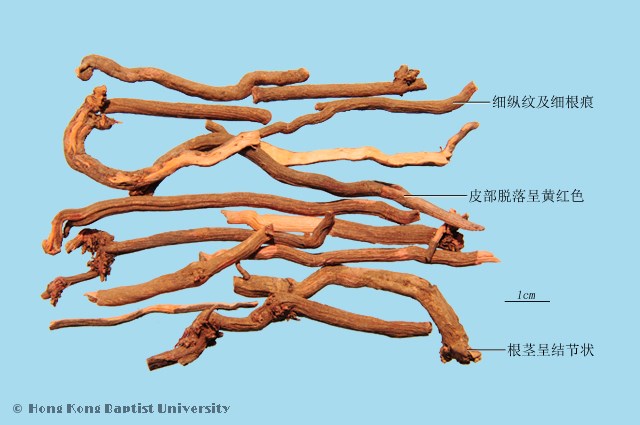 Qian Cao Madder Root