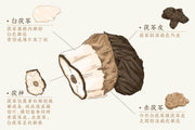 Fu Shen Poria Pararadicis