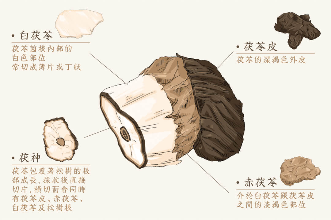 Fu Ling Pi