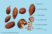 Cao Guo